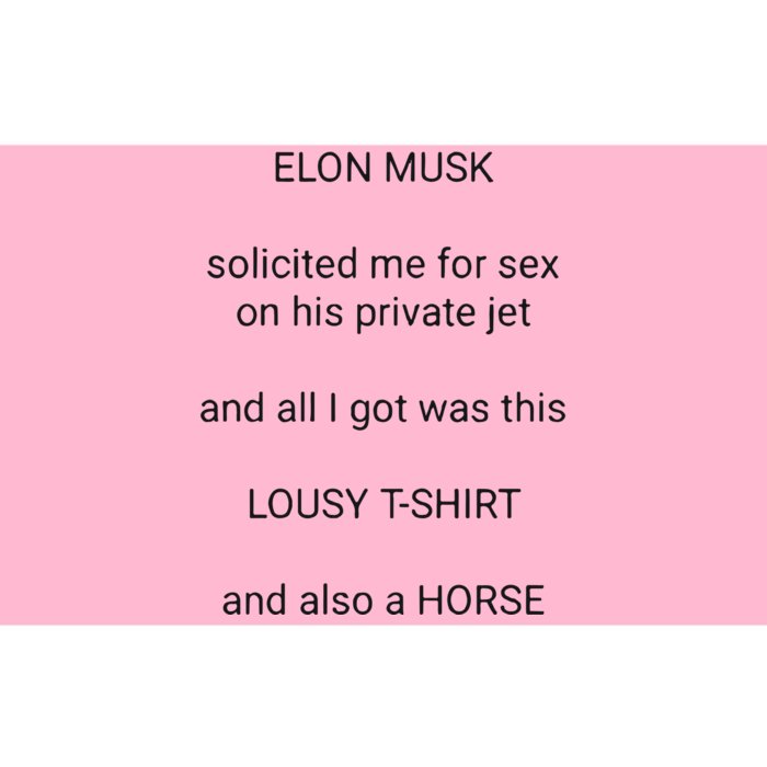 Elon Musk Solicited Me For Sex On His Private Jet Bumper Sticker