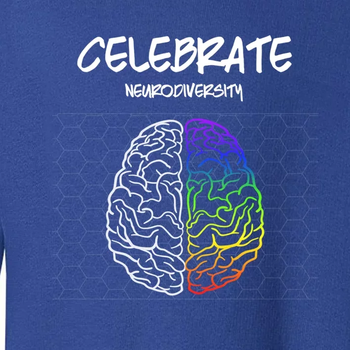 Embrace Neurodiversity Autism Adhd Asd Rainbow Brain Cute Gift Toddler Sweatshirt