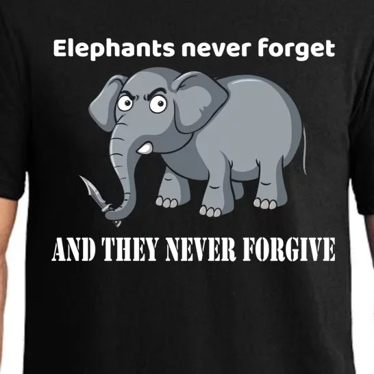 Elephants Never Forget And They Never Forgive Gift Pajama Set