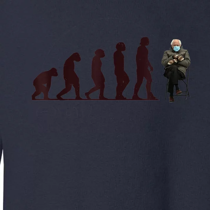 Evolution Of Bernie Sanders Mittens Meme Toddler Sweatshirt