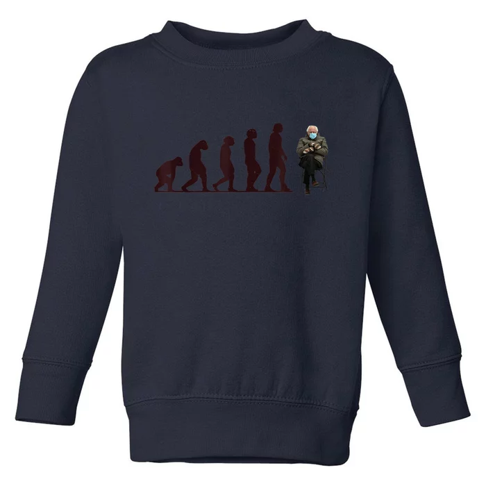 Evolution Of Bernie Sanders Mittens Meme Toddler Sweatshirt