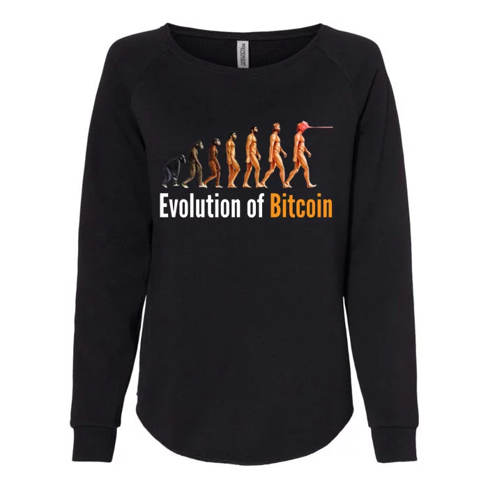 Evolution Of Bitcoin, Ape To Man, Crypto, Cryptocurrency, HODL Bitcoin Womens California Wash Sweatshirt