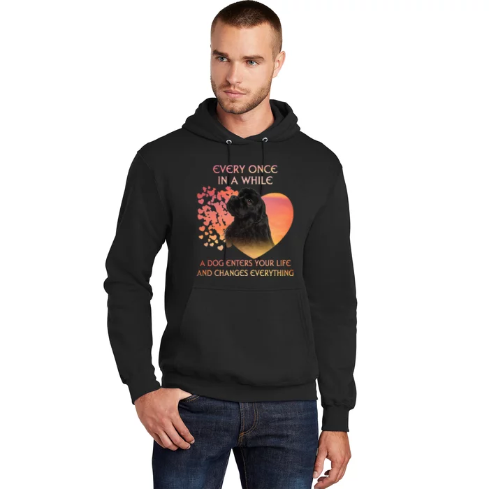 Every Once In A While American Cocker Spaniel dog Hoodie