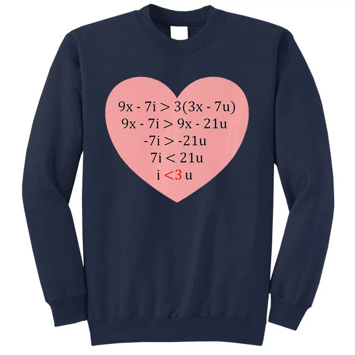 Equation Of Love Funny Math Valentine's Day Tall Sweatshirt