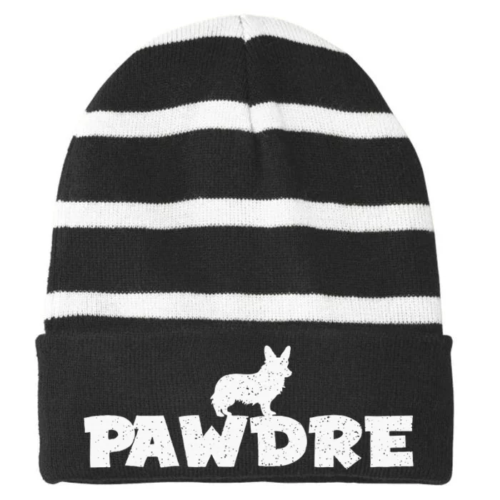 En Pawdre Corgi Dad Cute Fur Dad Fathers Day Dog Striped Beanie with Solid Band