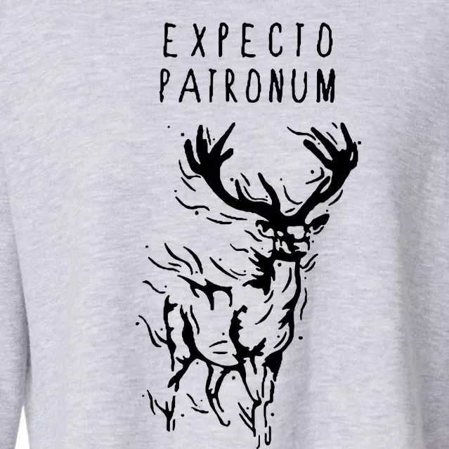 Expecto Patronum Cropped Pullover Crew