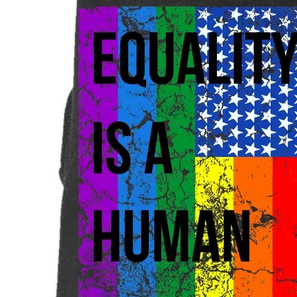 Equality Is A Human Right USA Flag Doggie 3-End Fleece Hoodie