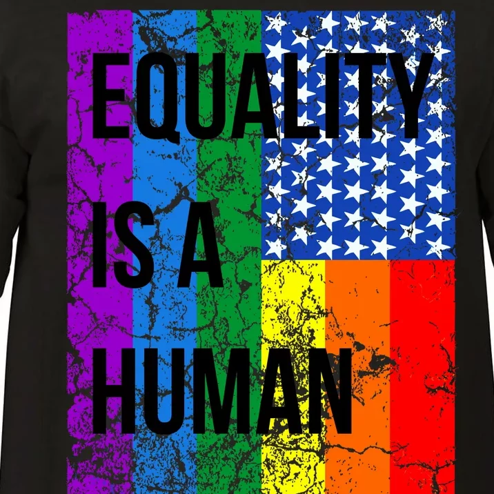 Equality Is A Human Right USA Flag Comfort Colors T-Shirt