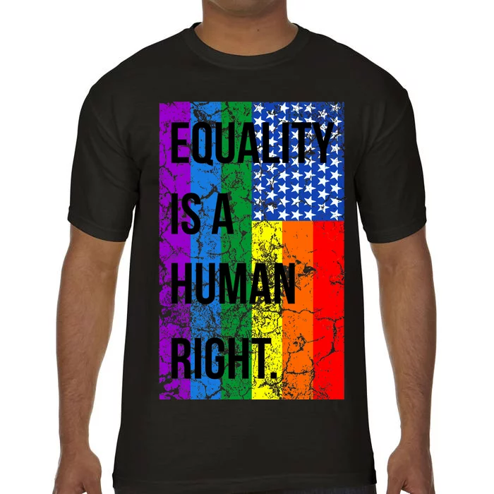 Equality Is A Human Right USA Flag Comfort Colors T-Shirt