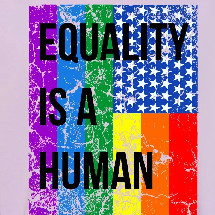 Equality Is A Human Right USA Flag Garment-Dyed Sweatshirt