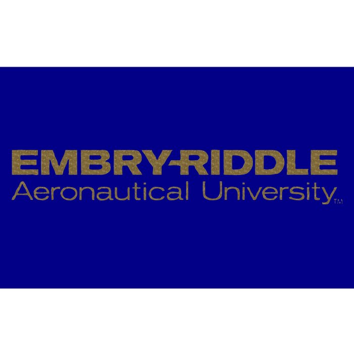 Embry Riddle Aeronautical Worldwide Eagles Bumper Sticker