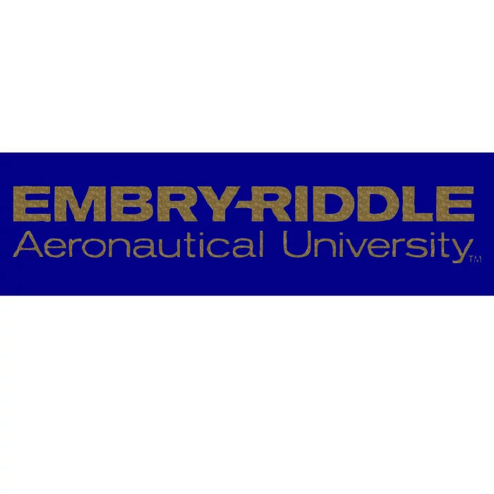 Embry Riddle Aeronautical Worldwide Eagles Bumper Sticker