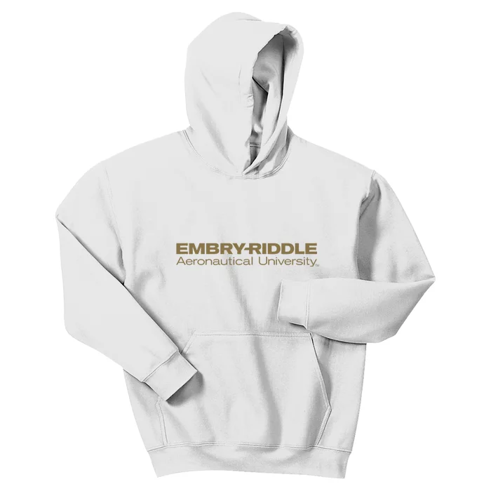 Embry Riddle Aeronautical Worldwide Eagles Kids Hoodie