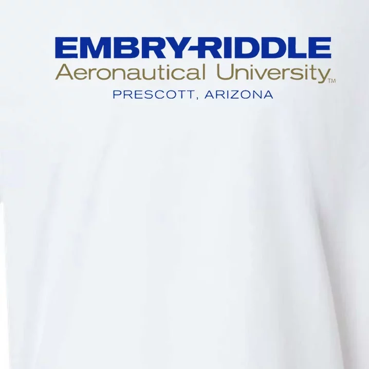 Embry Riddle Aeronautical Prescott Eagles Sueded Cloud Jersey T-Shirt