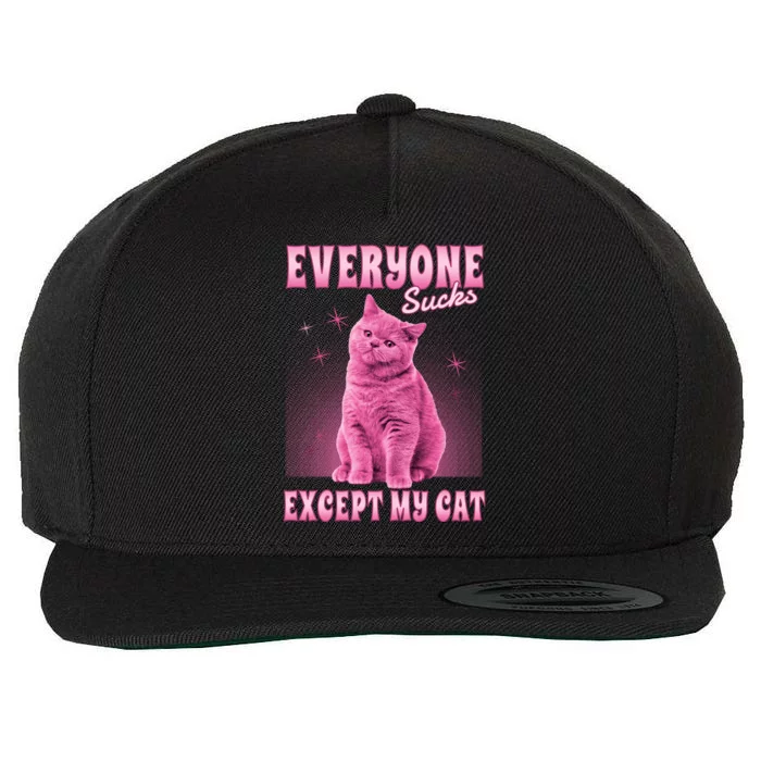 Everyone Sucks Except My Cat Wool Snapback Cap