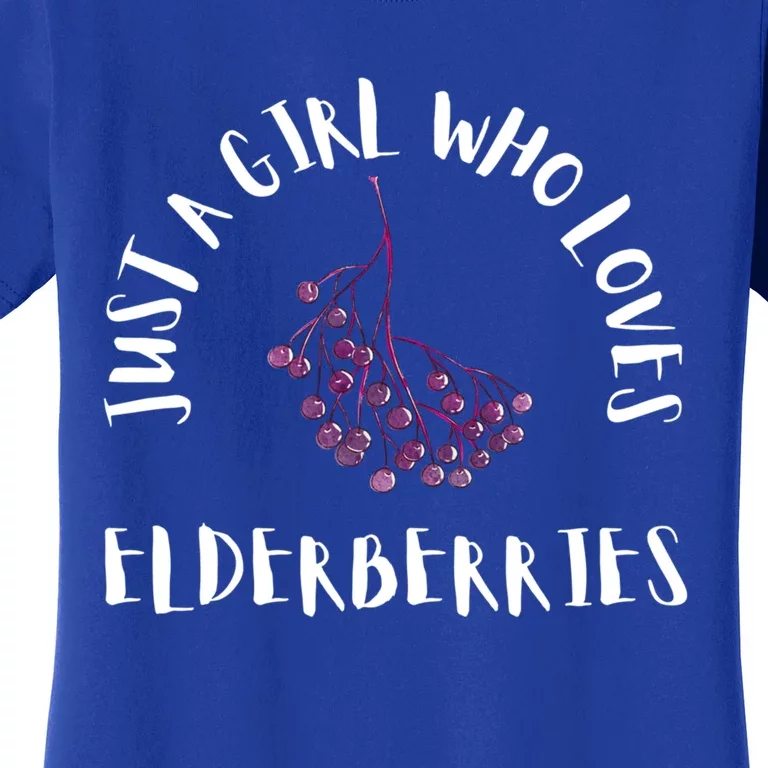 Elderberry Syrup Flu Sambucus Homeopath Medicine Gift Women's T-Shirt