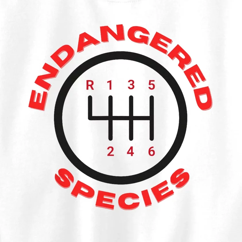 Endangered Species Manual Gearbox Stick Shift 6 Speed Kids Sweatshirt