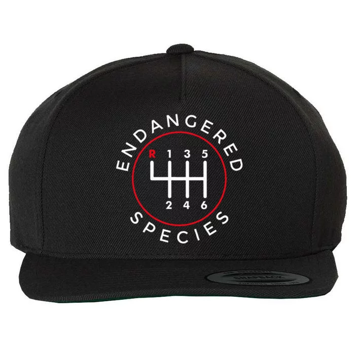 Endangered Species Manual Gearbox Stick Shift 6 Speed Wool Snapback Cap