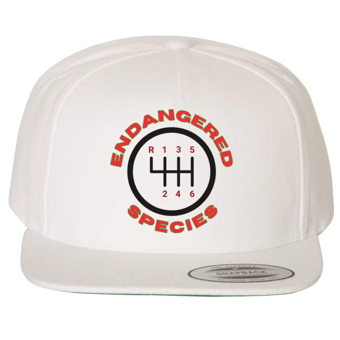 Endangered Species Manual Gearbox Stick Shift 6 Speed Wool Snapback Cap