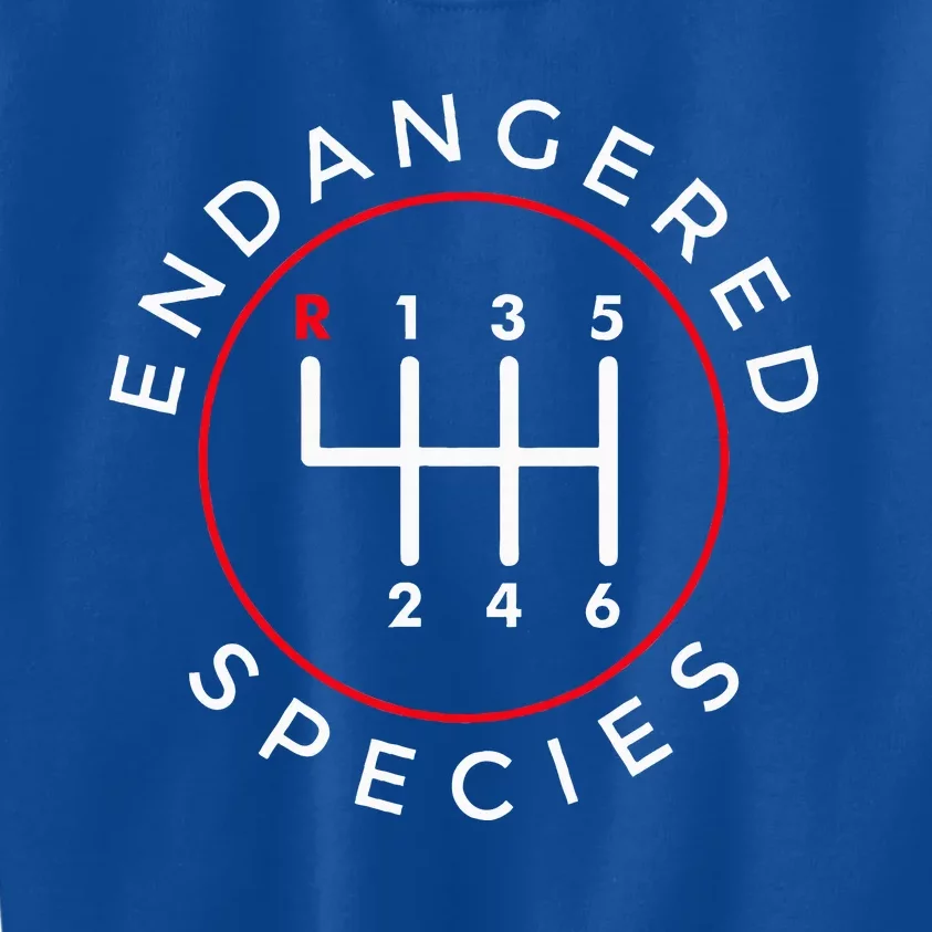 Endangered Species Manual Gearbox Stick Shift 6 Speed Kids Sweatshirt