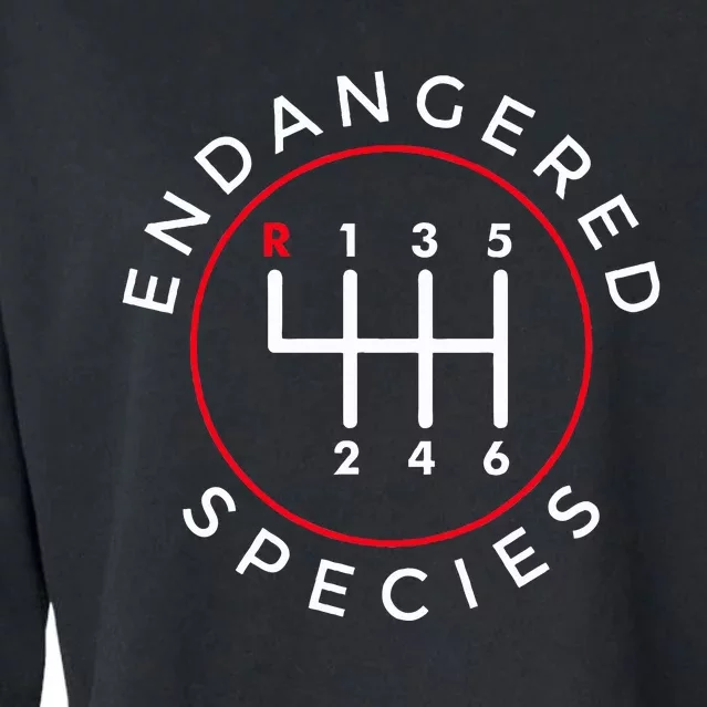 Endangered Species Manual Gearbox Stick Shift 6 Speed Cropped Pullover Crew