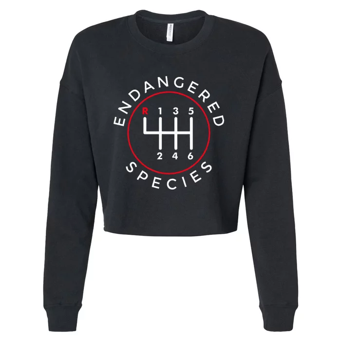 Endangered Species Manual Gearbox Stick Shift 6 Speed Cropped Pullover Crew