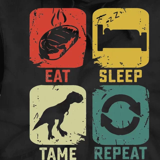 Eat Sleep Tame Repeat Dinosaur Gaming Geek Gamer Tie Dye Hoodie