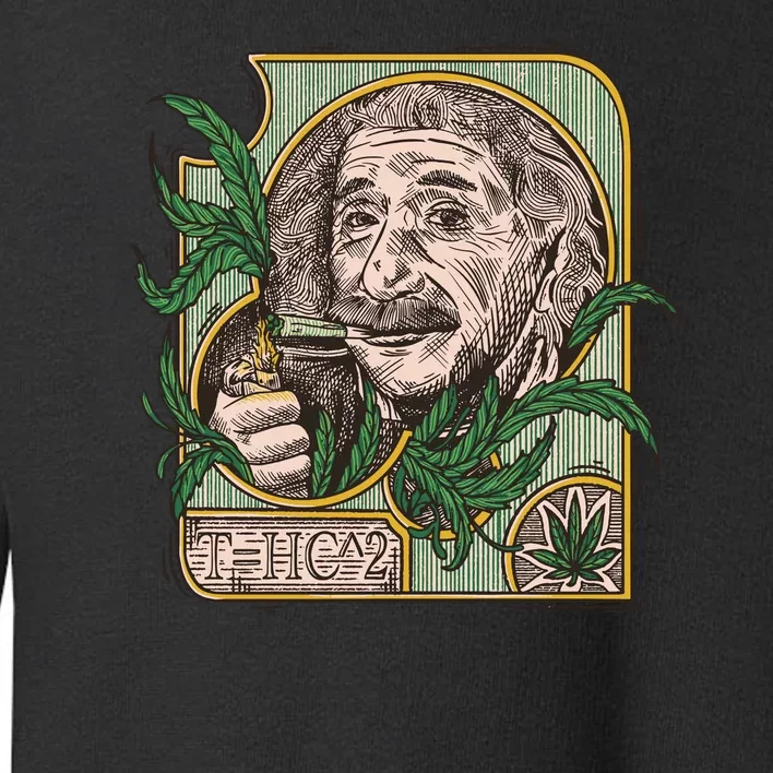 Einstein Smoking Weed Toddler Sweatshirt