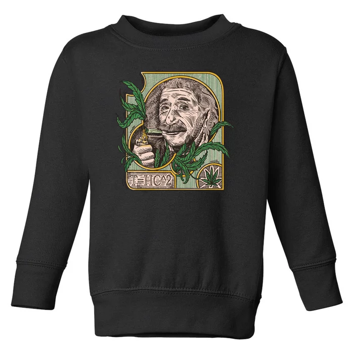 Einstein Smoking Weed Toddler Sweatshirt