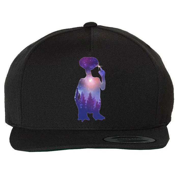 ET Alien Galaxy Forest Wool Snapback Cap