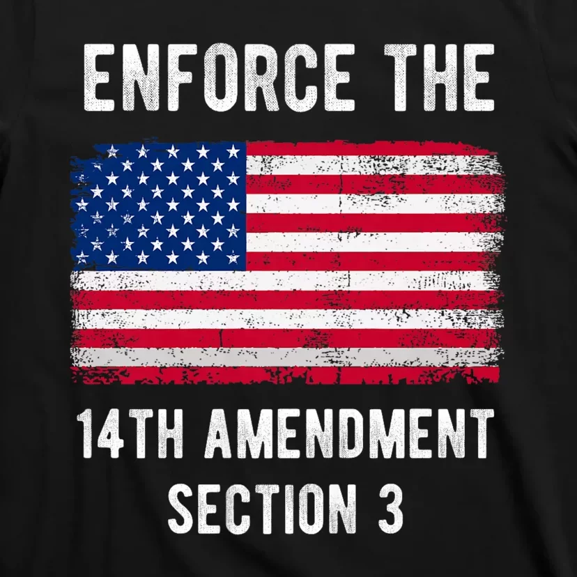 Enforce The 14th Amendment Section 3 T-Shirt