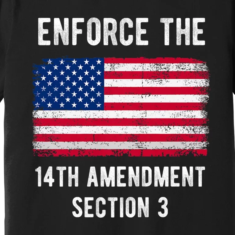 Enforce The 14th Amendment Section 3 Premium T-Shirt