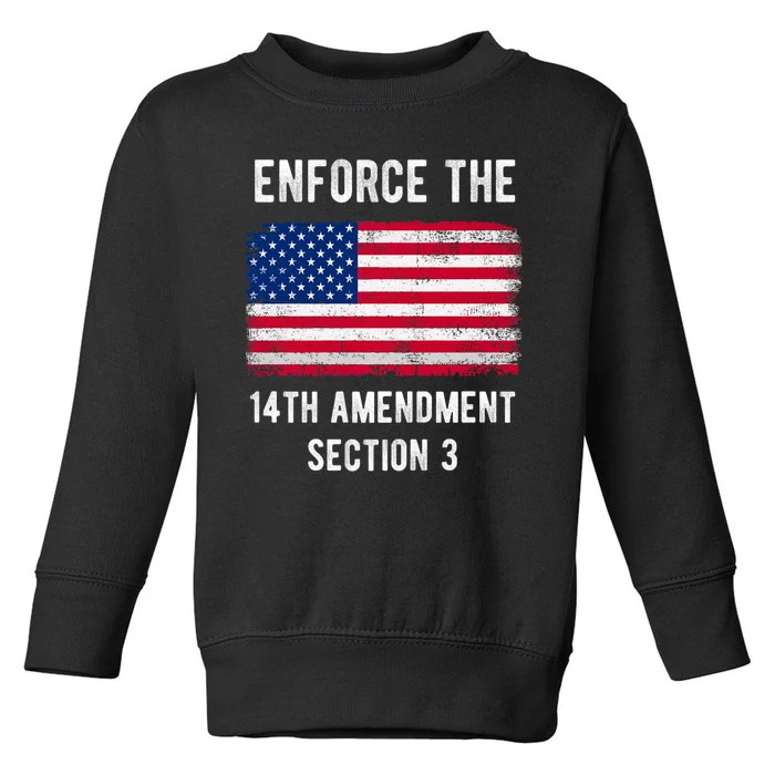 Enforce The 14th Amendment Section 3 Toddler Sweatshirt