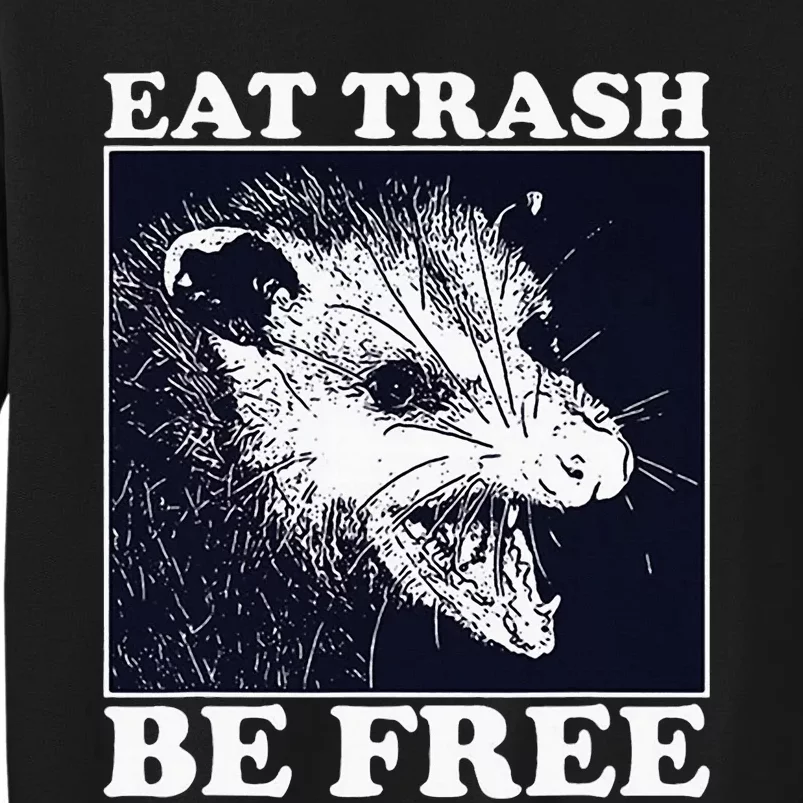 Eat Trash Be Free Raccoon Sweatshirt