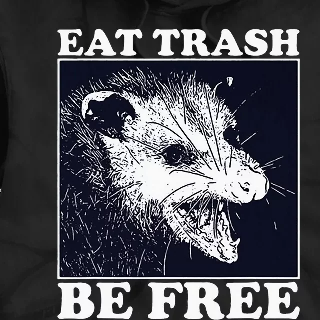 Eat Trash Be Free Raccoon Tie Dye Hoodie