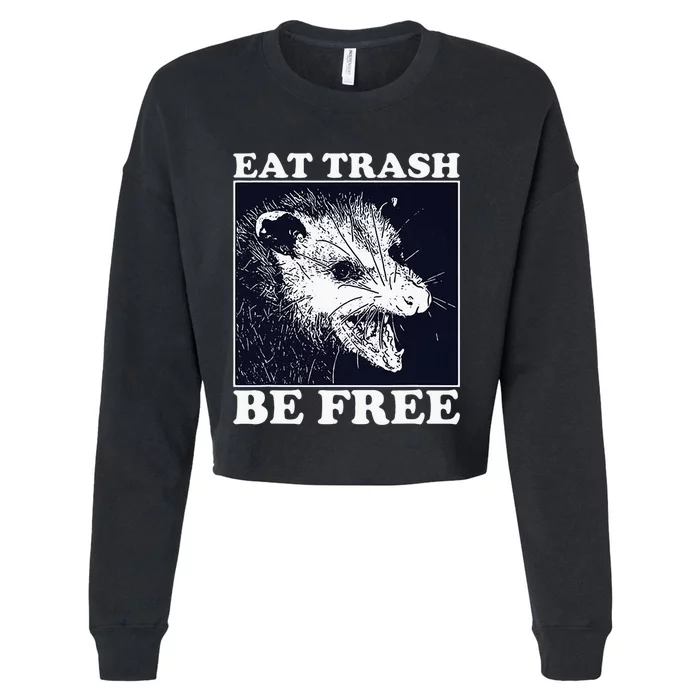 Eat Trash Be Free Raccoon Cropped Pullover Crew