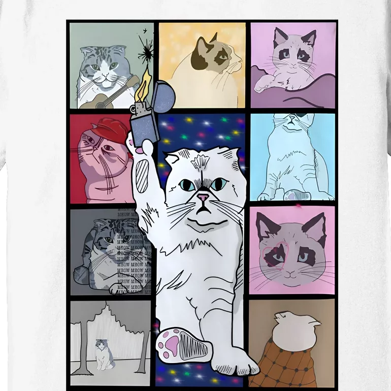 Eras Tour Cat Version TS Lover Gift Idea For Lover Fan Premium T-Shirt