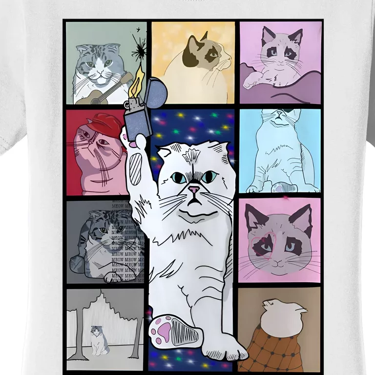 Eras Tour Cat Version TS Lover Gift Idea For Lover Fan Women's T-Shirt