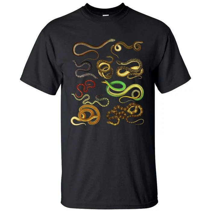 Educational Types Of Snake Gift Tall T-Shirt