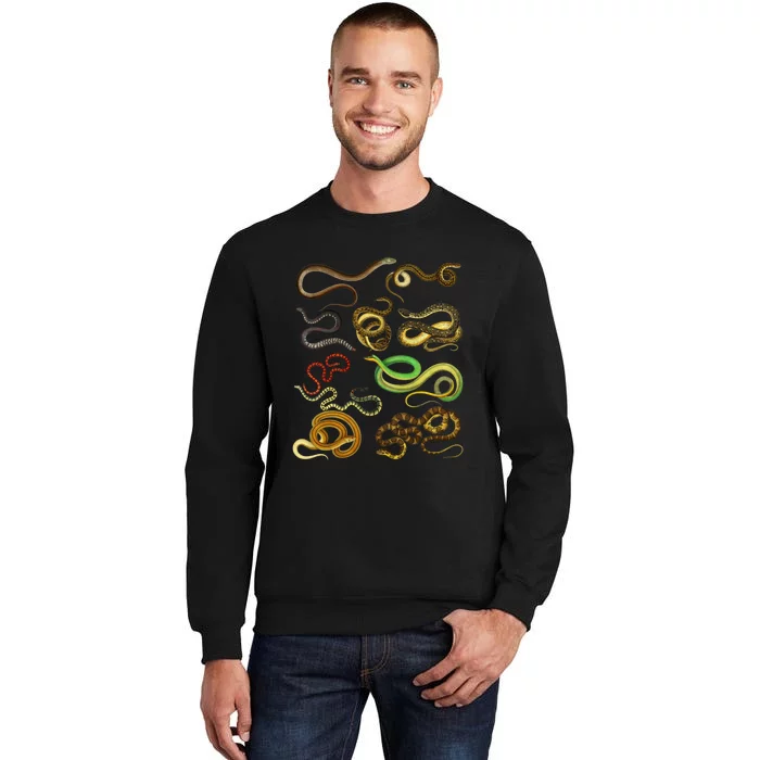 Educational Types Of Snake Gift Tall Sweatshirt