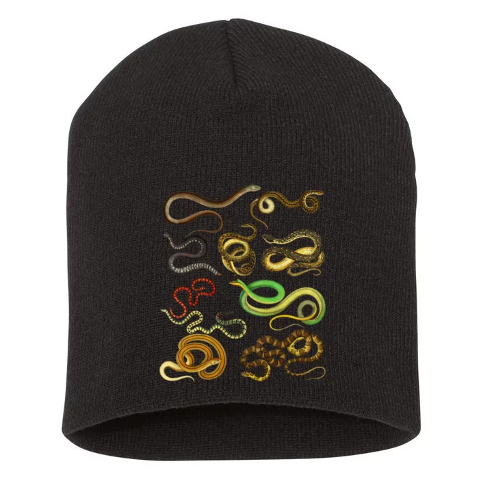 Educational Types Of Snake Gift Short Acrylic Beanie