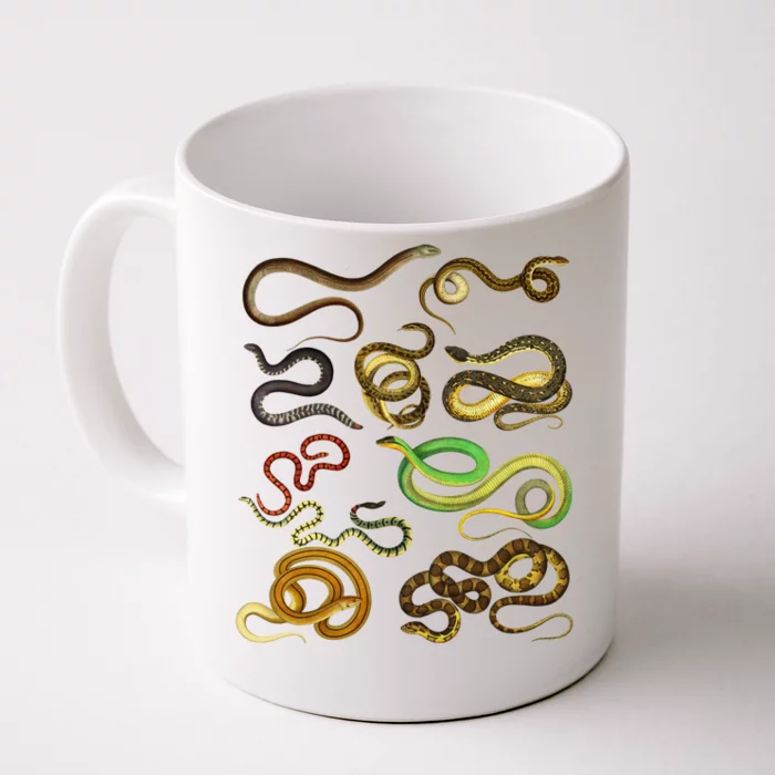 Educational Types Of Snake Gift Front & Back Coffee Mug