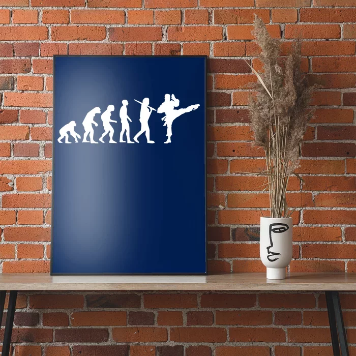 Evolution of Karate Poster