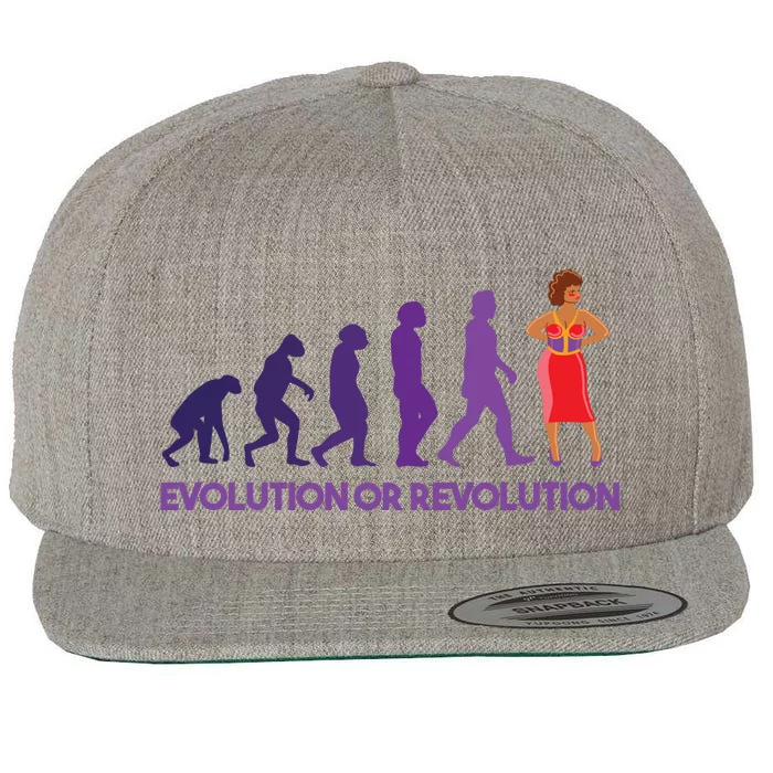 Evolution Or Revolution Wool Snapback Cap