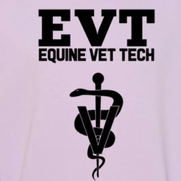 Equine Vet Tech Veterinary Medicine Evt Veterinarian Funny Gift Garment-Dyed Sweatshirt