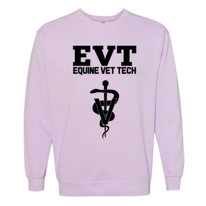 Equine Vet Tech Veterinary Medicine Evt Veterinarian Funny Gift Garment-Dyed Sweatshirt