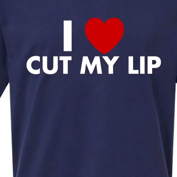 Eggtyler Wearing I Love Cut My Lip Sueded Cloud Jersey T-Shirt