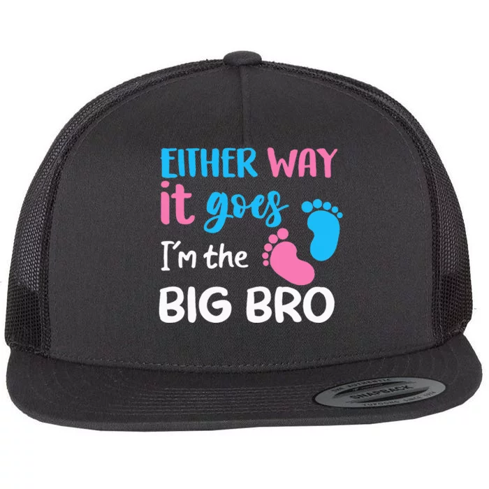 Either Way It Goes IM The Big Bro Gender Reveal Brother Flat Bill Trucker Hat