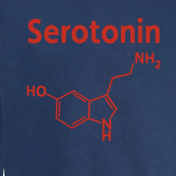 Endra Wearing Serotonin Comfy Garment-Dyed Sweatshirt