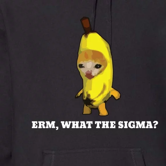 Erm What Sigma Cat Meme Premium Hoodie